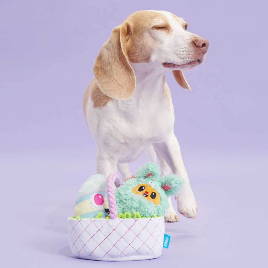BARK Easter Bundle Plush Tug + Enrichment + Multi-Part Dog Toy