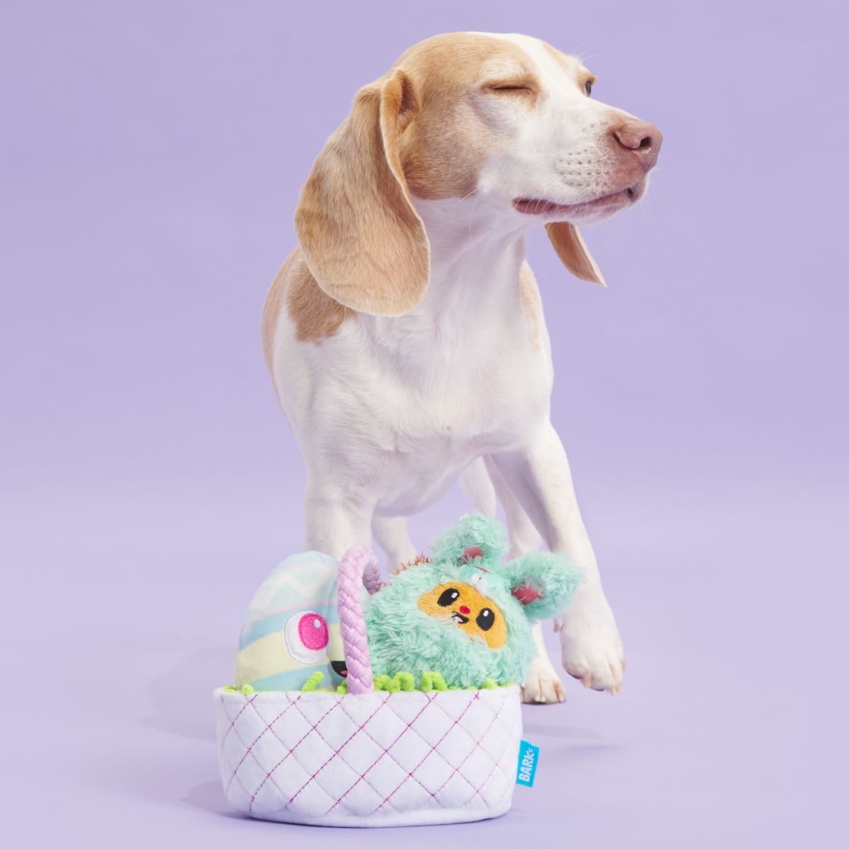 BARK Easter Bundle Plush Tug + Enrichment + Multi-Part Dog Toy