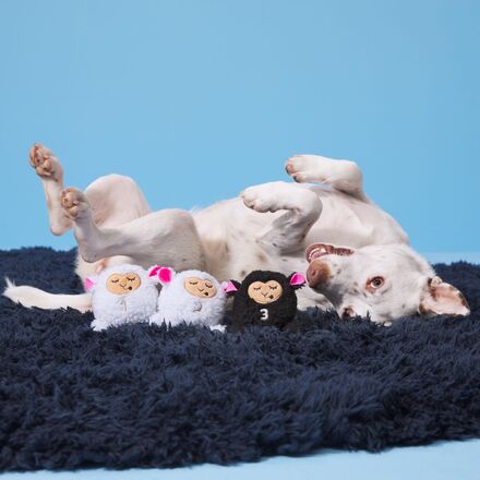 Baa Baa Bark Sheep Plush Multi-Part + Fetch Dog Toy