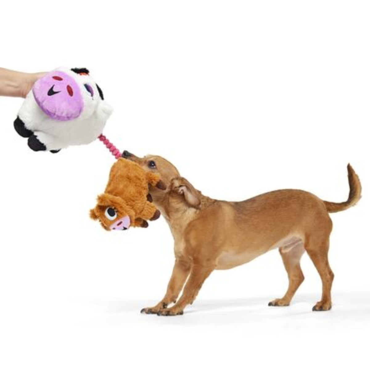 Bertha the Cow Plush Tug + Extra-Large Dog Toy