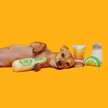 One Tugquila Chew Tugquila Plush Multi-Part Dog Toy