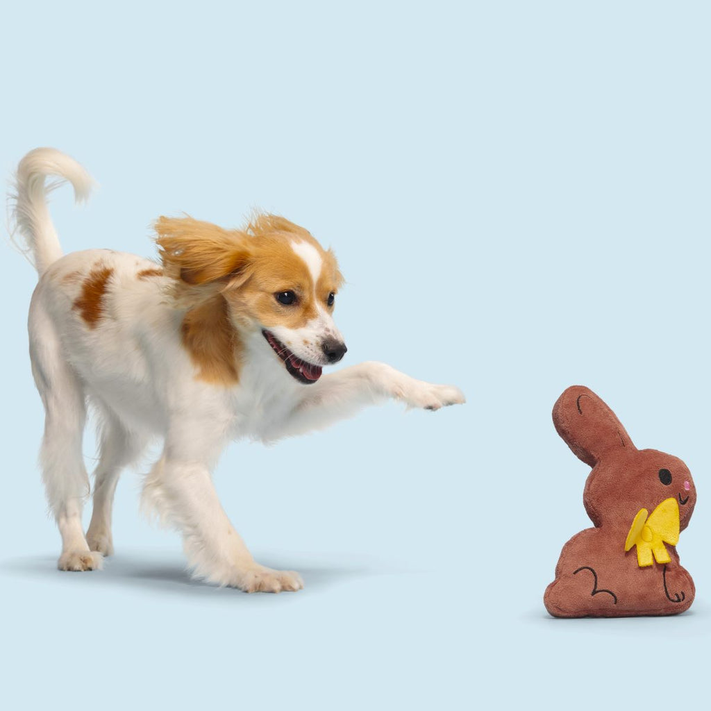 Chocolick Chunky Bunky Plush Tug Dog Toy