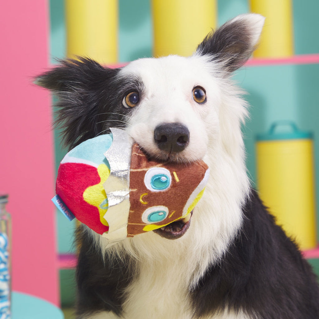 Cadfurry Eggs Plush Fetch Dog Toy