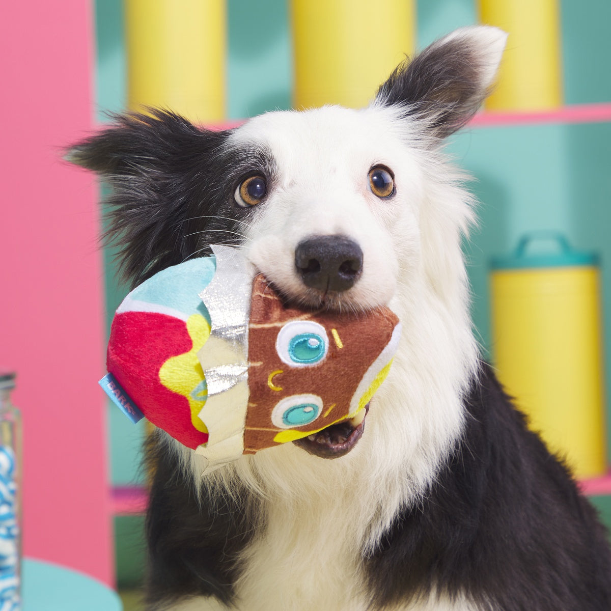 Cadfurry Eggs Plush Fetch Dog Toy