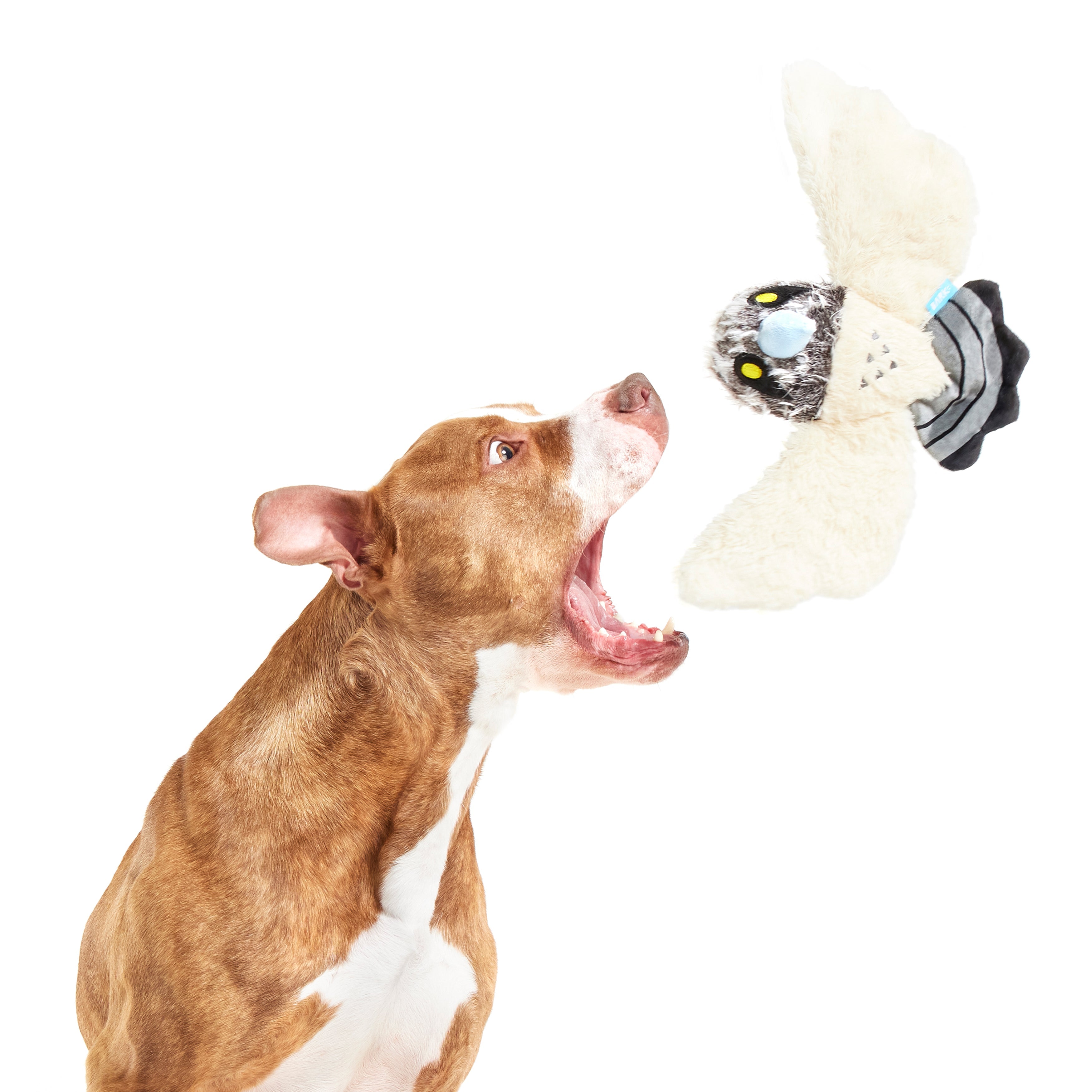 Perry the Peregrine Falcon Plush Tug Dog Toy