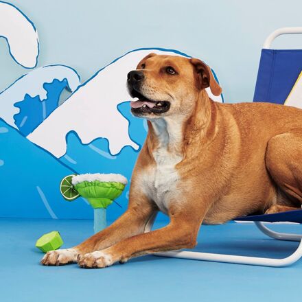 Muy Squeaky Margarita Plush Tug Dog Toy