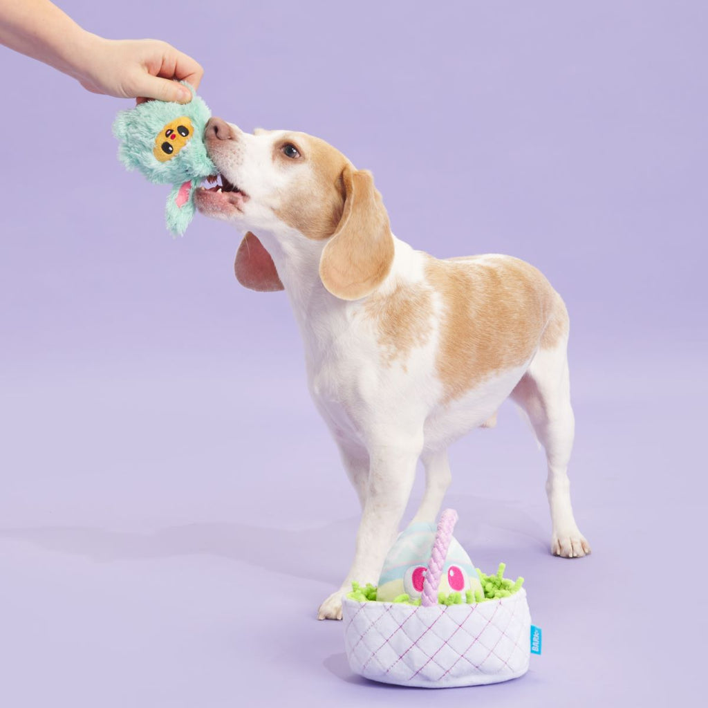 BARK Easter Bundle Plush Tug + Enrichment + Multi-Part Dog Toy