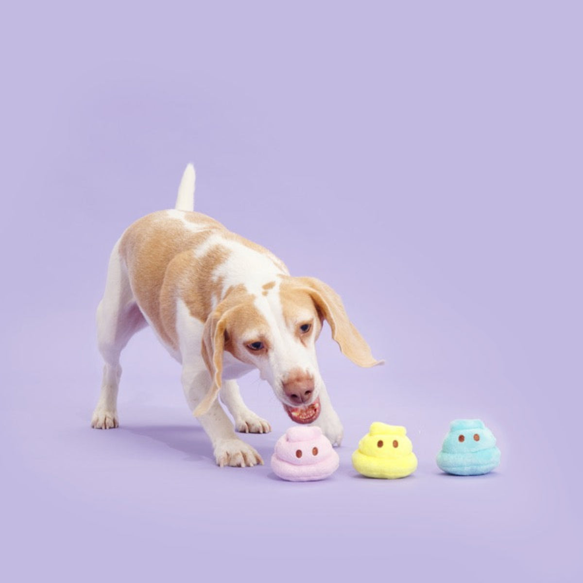 Marshmallow Poops Plush Multi-Part + Fetch Dog Toy