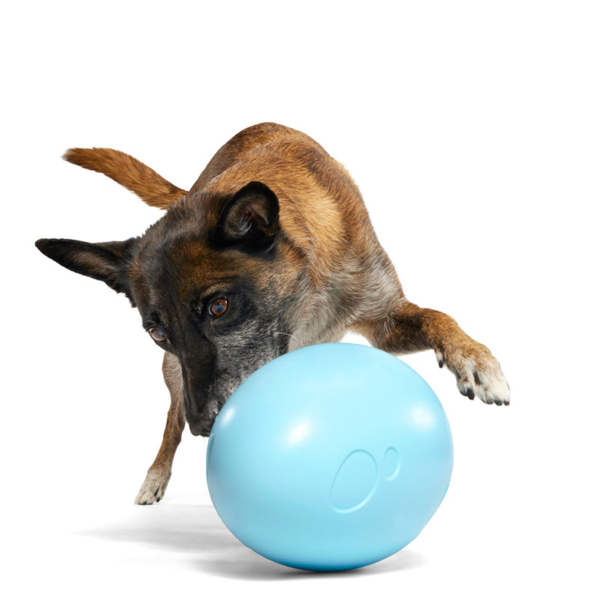 Eggstra Large Easter Egg Durable Super Chewer Fetch + Extra-Large Dog Toy