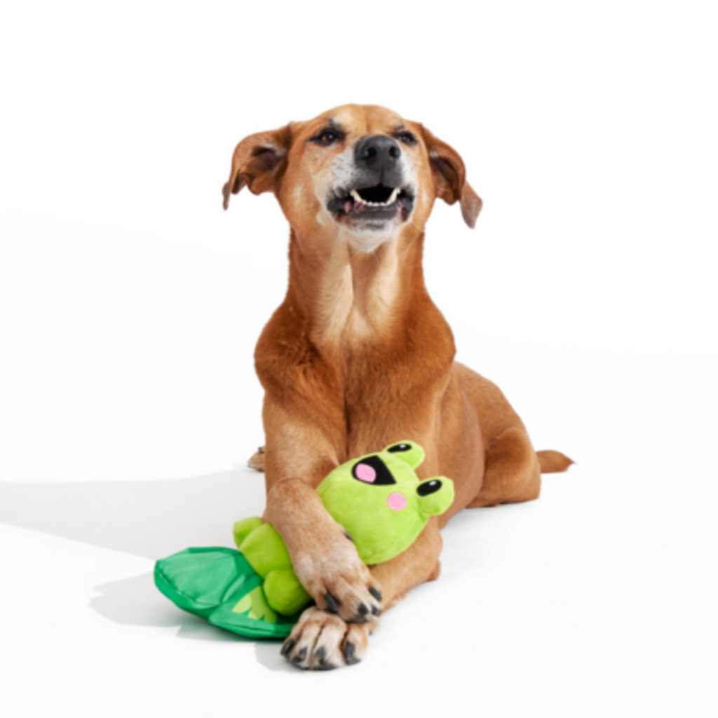 Lily Pal Plush Tug Dog Toy