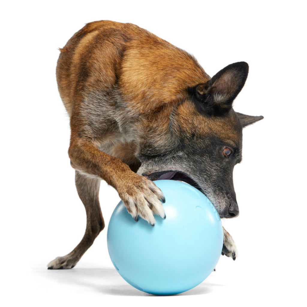 Eggstra Large Easter Egg Durable Super Chewer Fetch + Extra-Large Dog Toy