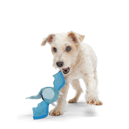 Brrrtha The Dragon Super Chewer Durable 2-in-1 Tug + Fetch Dog Toy