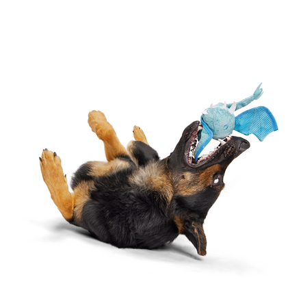 Brrrtha The Dragon Super Chewer Durable 2-in-1 Tug + Fetch Dog Toy
