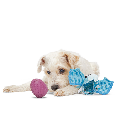 Brrrtha The Dragon Super Chewer Durable 2-in-1 Tug + Fetch Dog Toy