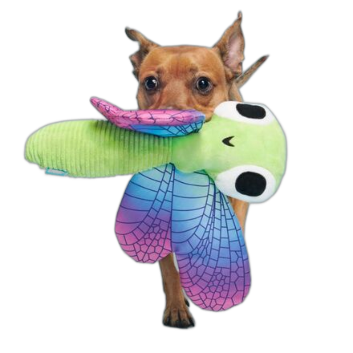 Dragonfly Guy Plush Tug + Extra-Large Dog Toy