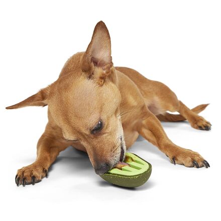 Avocadoggo Super Chewer Durable Enrichment Dog Toy