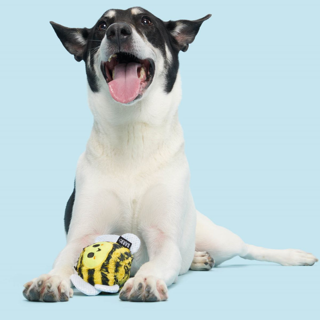 Buzzy Body Super Chewer Durable 2-in-1 Dog Toy