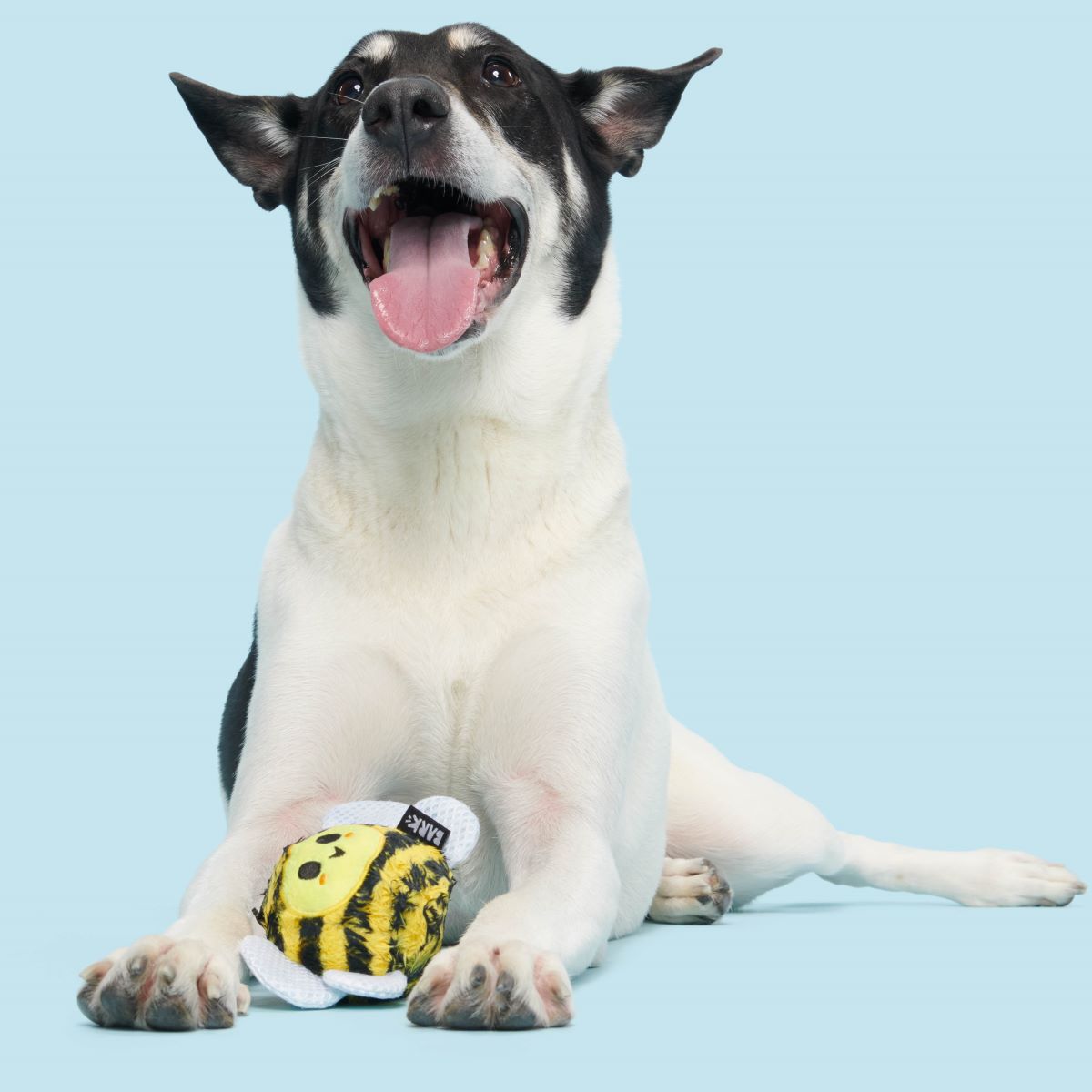 Buzzy Body Super Chewer Durable 2-in-1 Dog Toy