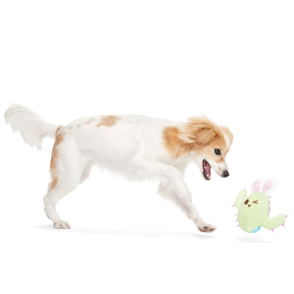 Consuela the Hoppy Cactus Plush 2-in-1 Rip and Reveal + Tug Dog Toy