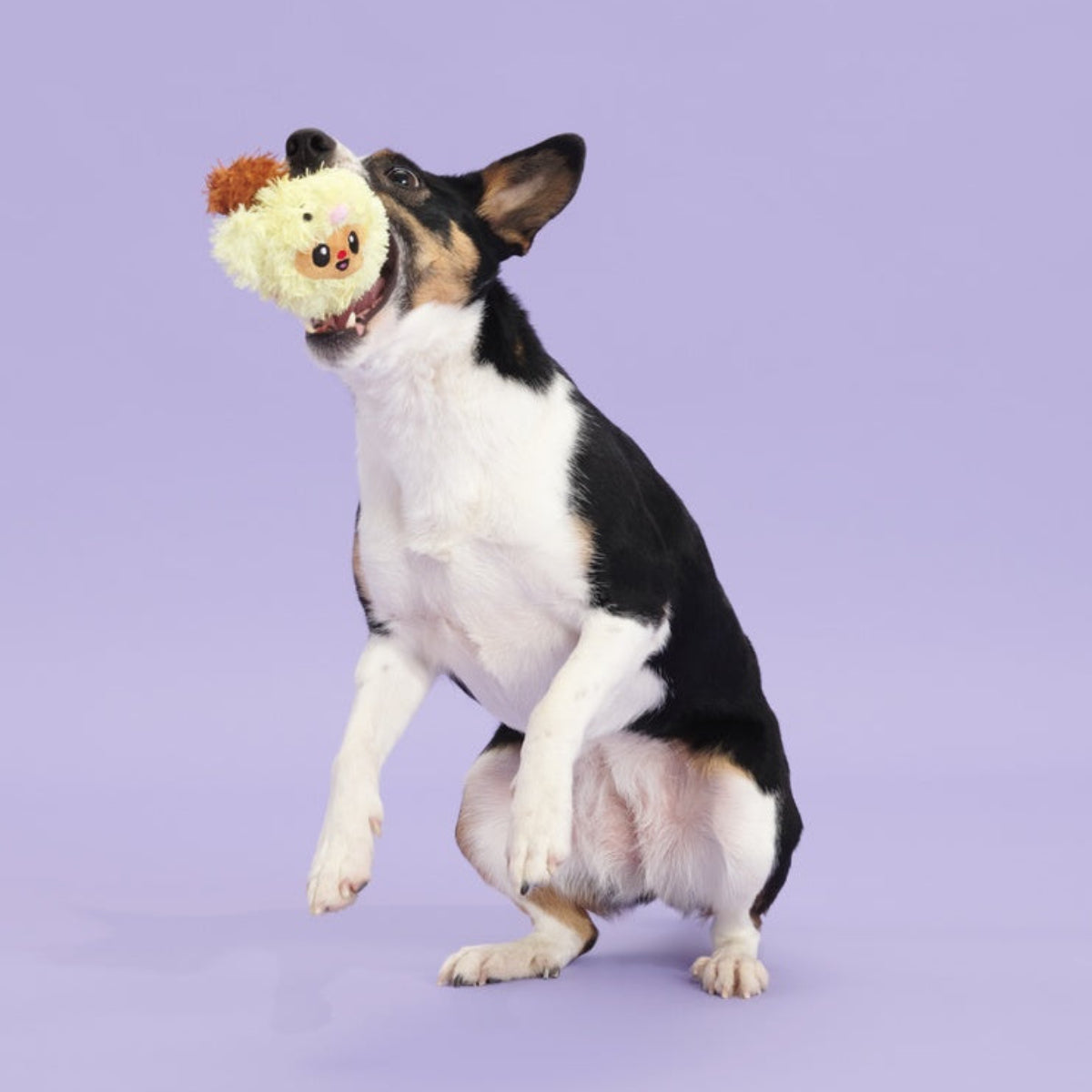 Trixie the Tricky Chicky Plush Dog Toy