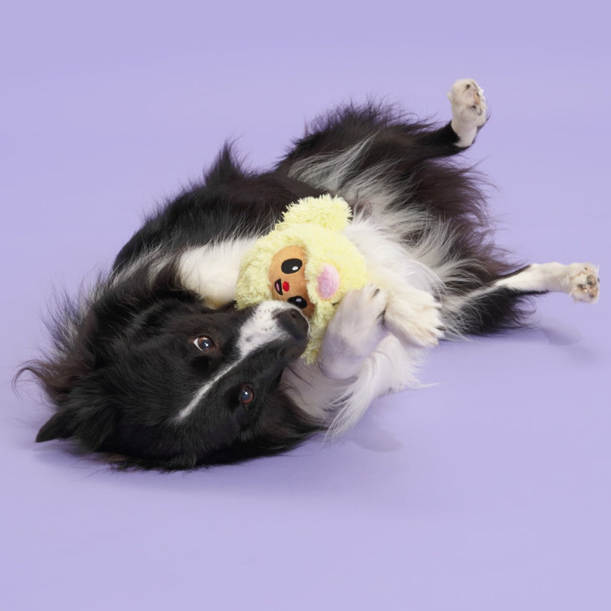 Trixie the Tricky Chicky Plush Dog Toy