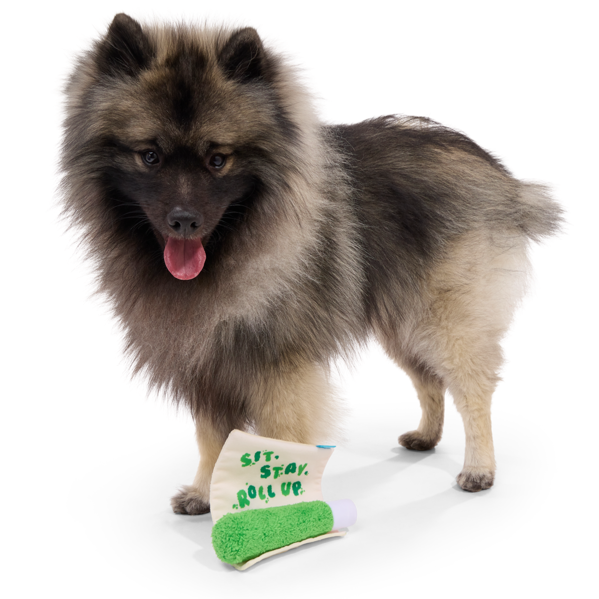 Lickety Spliff Plush Tug Dog Toy