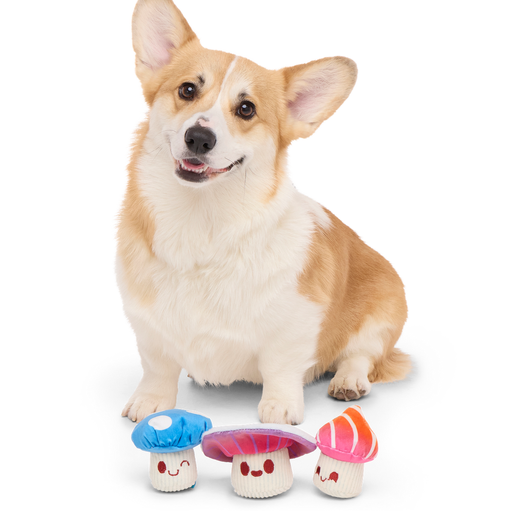 Alice's Magic Mushrooms Plush Multi-Part + Fetch Dog Toy