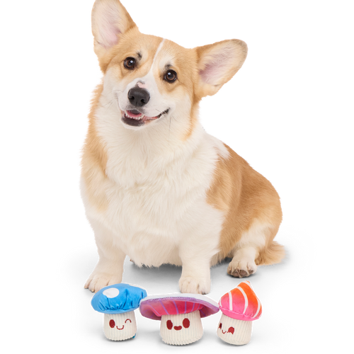 Alice's Magic Mushrooms Plush Multi-Part + Fetch Dog Toy