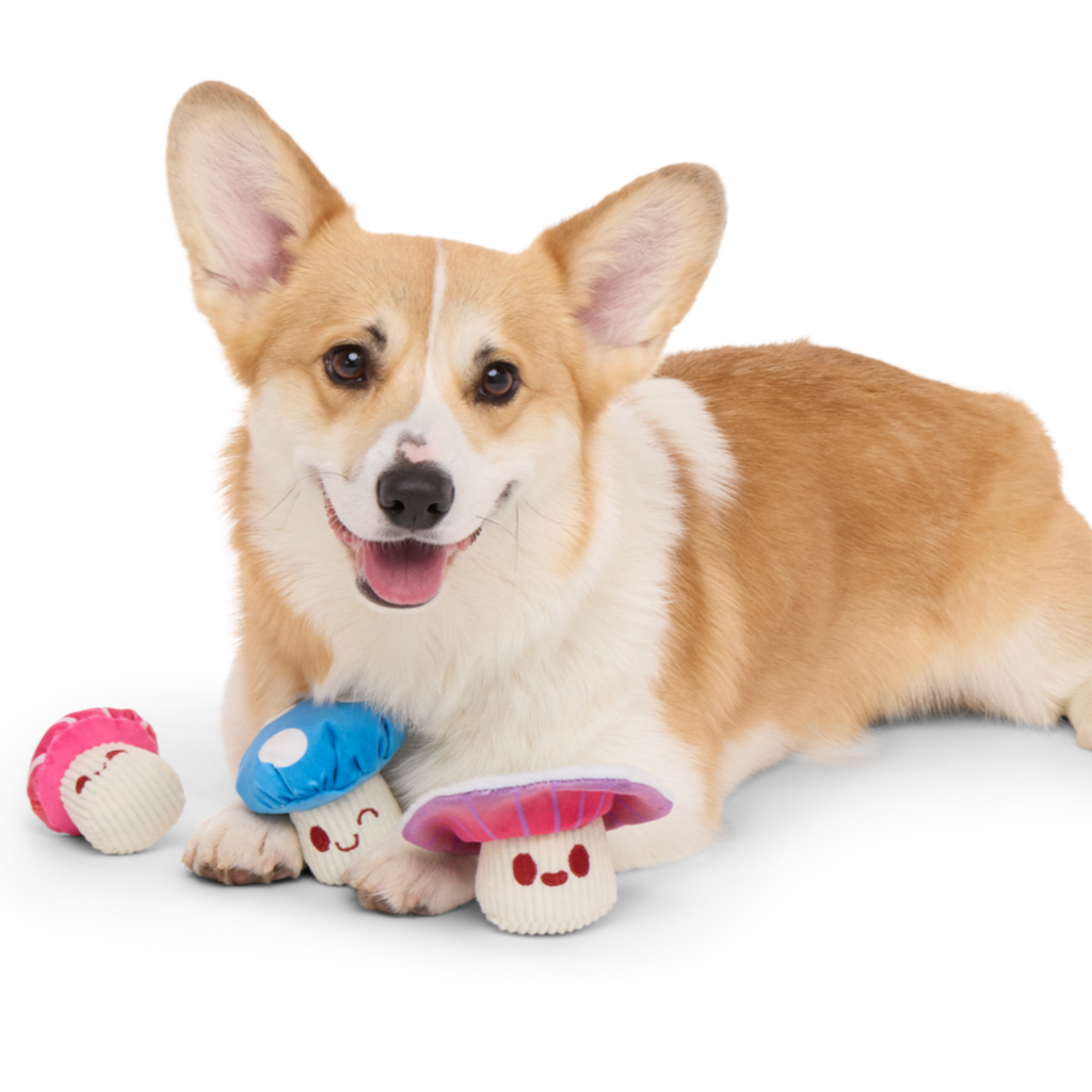 Alice's Magic Mushrooms Plush Multi-Part + Fetch Dog Toy