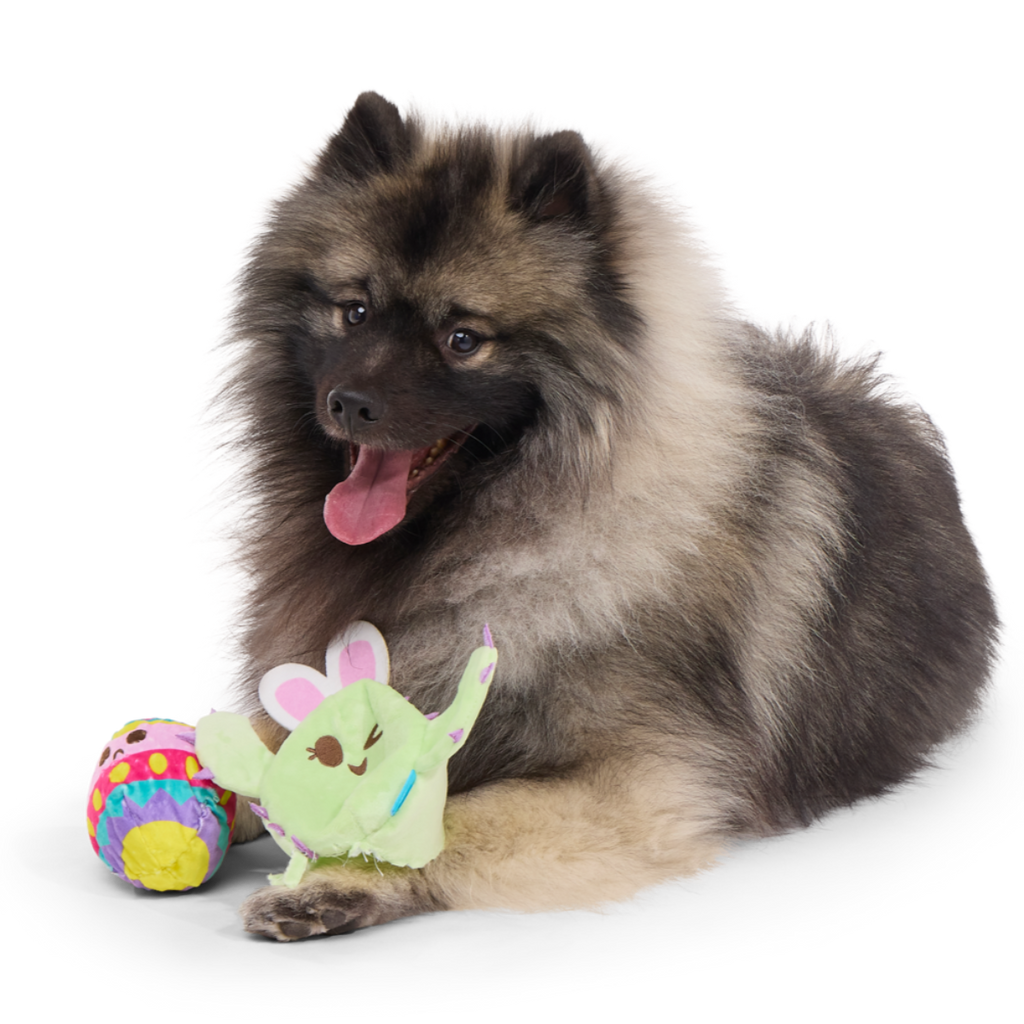 Consuela the Hoppy Cactus Plush 2-in-1 Rip and Reveal + Tug Dog Toy