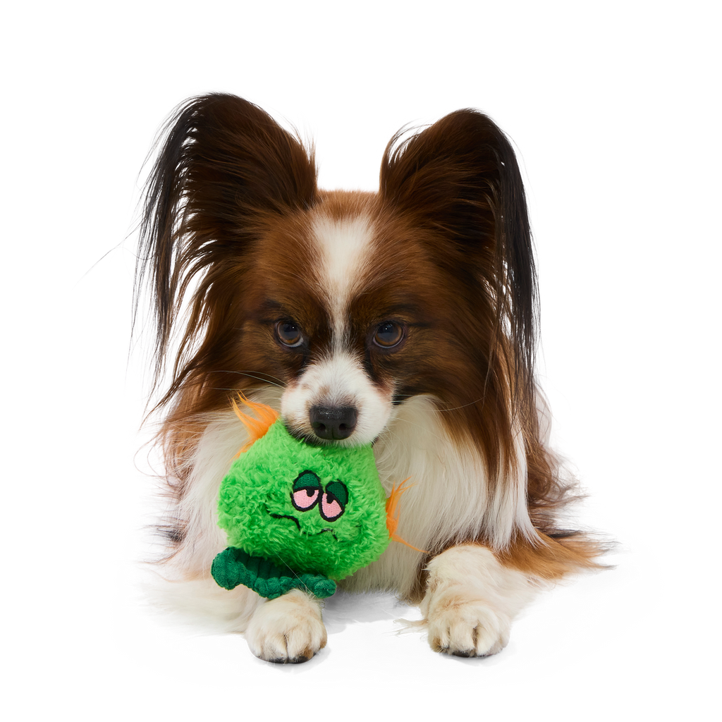 The Grim Reefer Super Chewer Durable 2-in-1 + Fetch Dog Toy