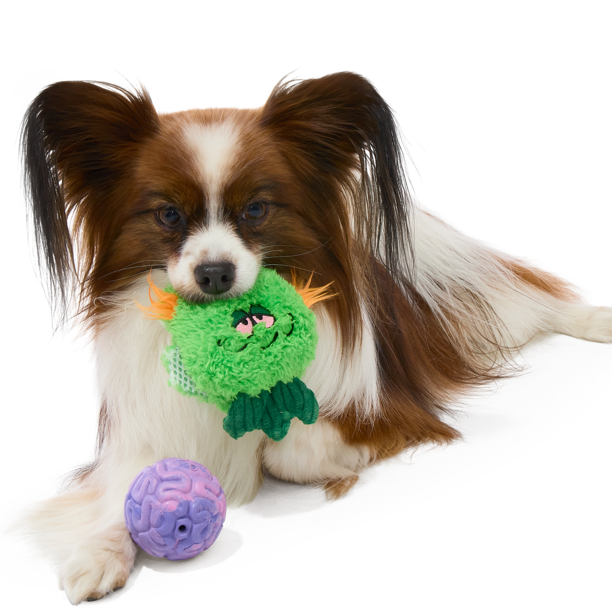 The Grim Reefer Super Chewer Durable 2-in-1 + Fetch Dog Toy
