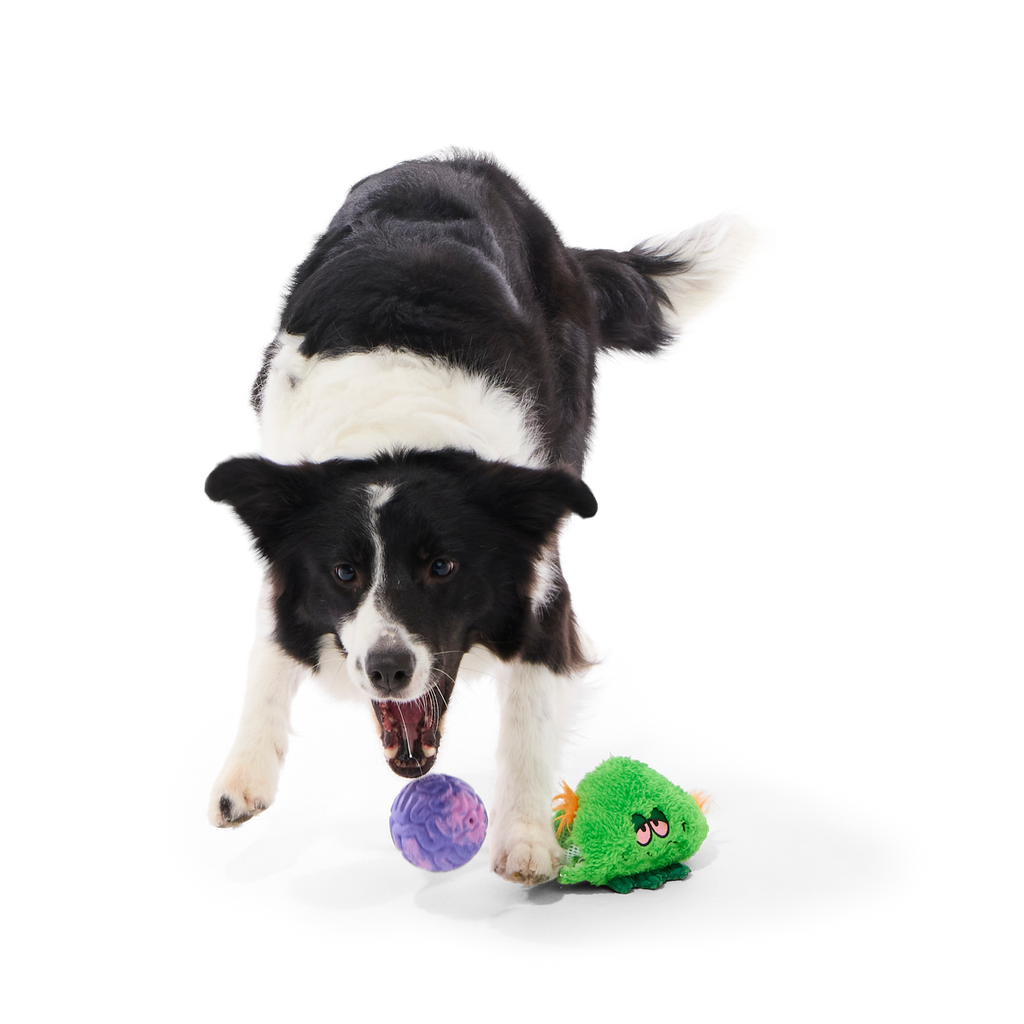 The Grim Reefer Super Chewer Durable 2-in-1 + Fetch Dog Toy
