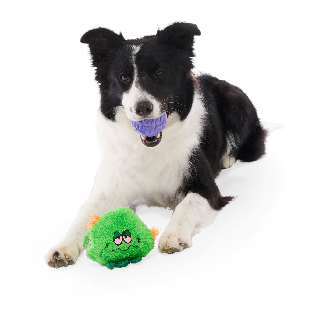The Grim Reefer Super Chewer Durable 2-in-1 + Fetch Dog Toy