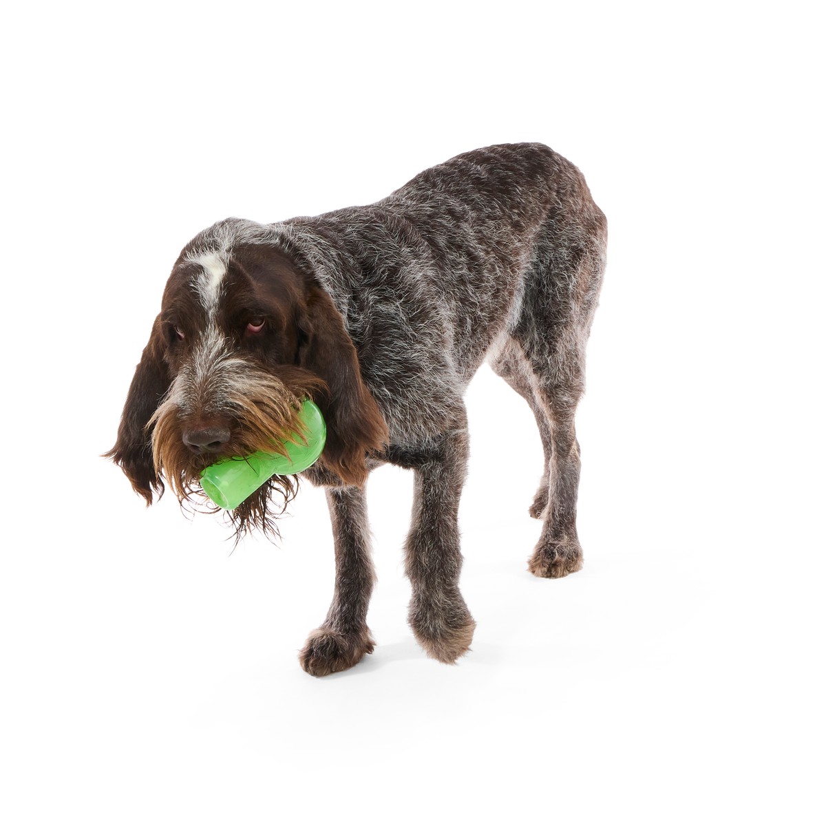 Fill-A-Bong Super Chewer Durable Gnaw + Enrichment Dog Toy
