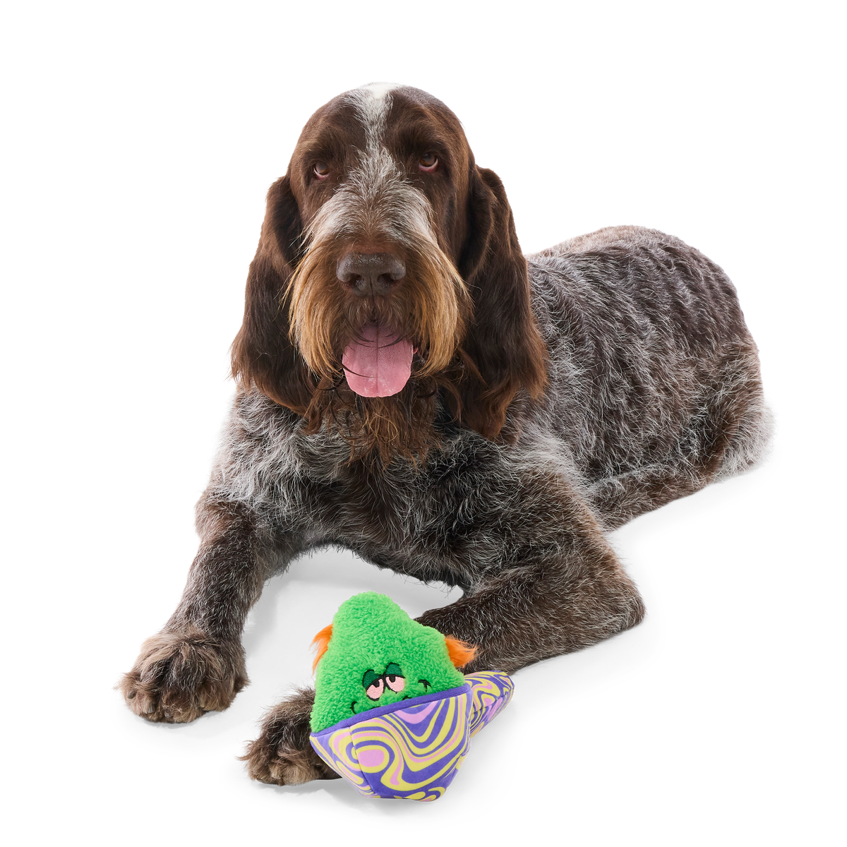 Snack-a-Bowl Plush Multi-Part + Enrichment Dog Toy