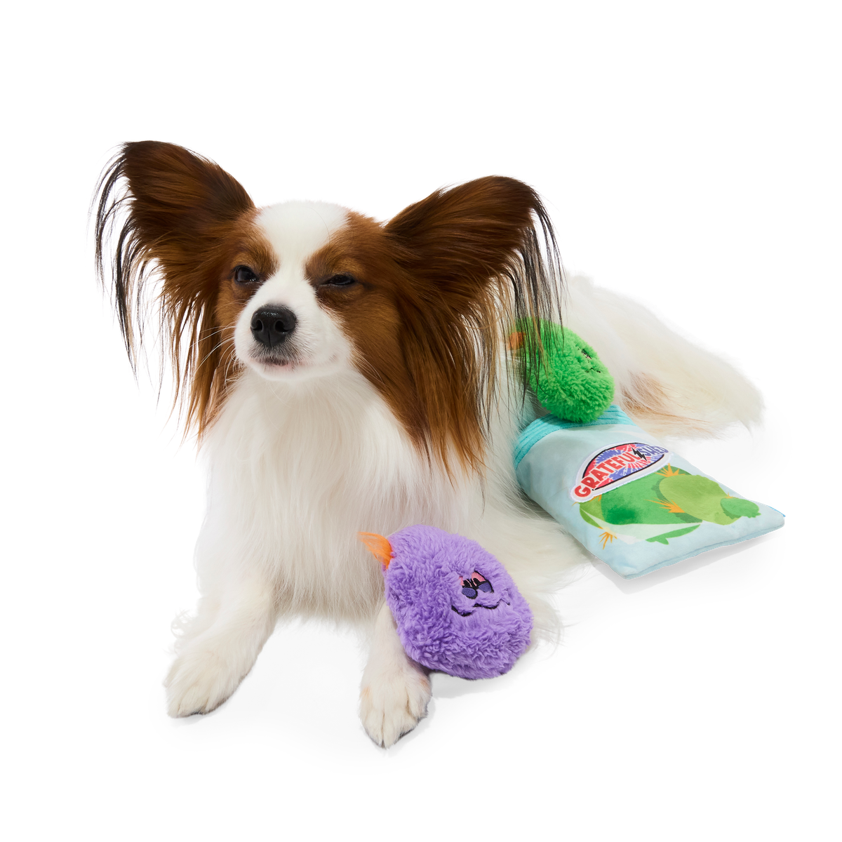 Doggy Bag Plush Multi-Part + Fetch + Enrichment Dog Toy