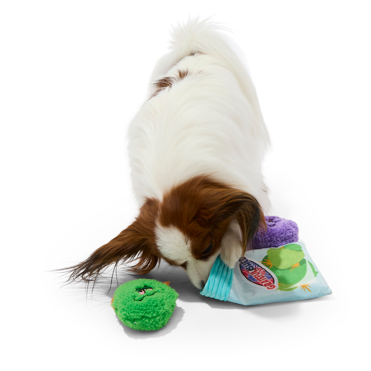 Doggy Bag Plush Multi-Part + Fetch + Enrichment Dog Toy