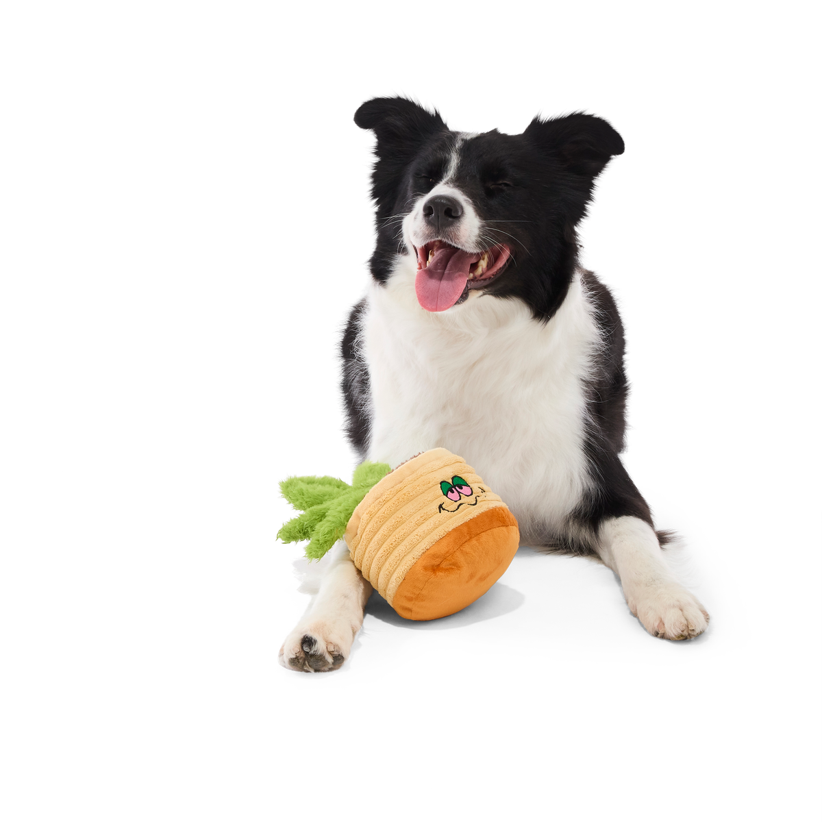 Easy Grows It Plush Tug Dog Toy