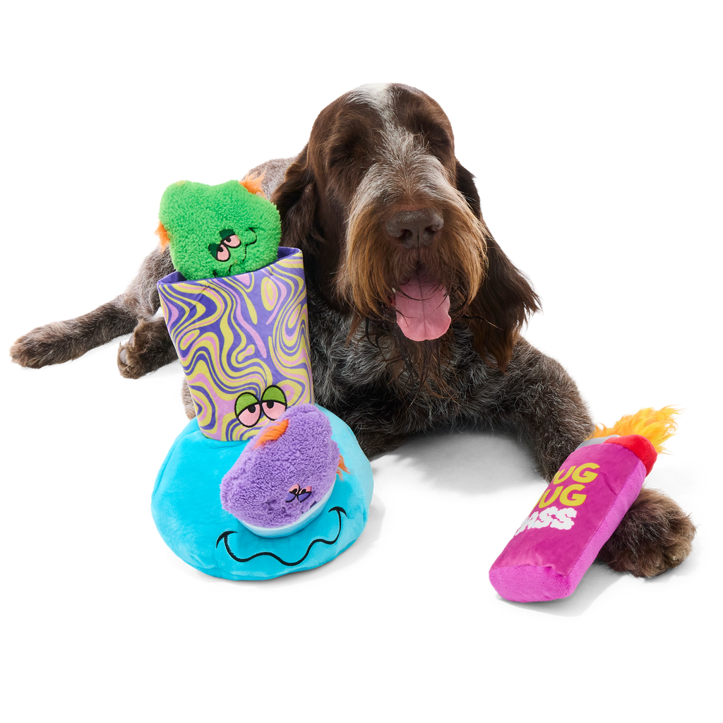 Pipe Dreams Plush Extra-Large + Multi-Part + Enrichment Dog Toy