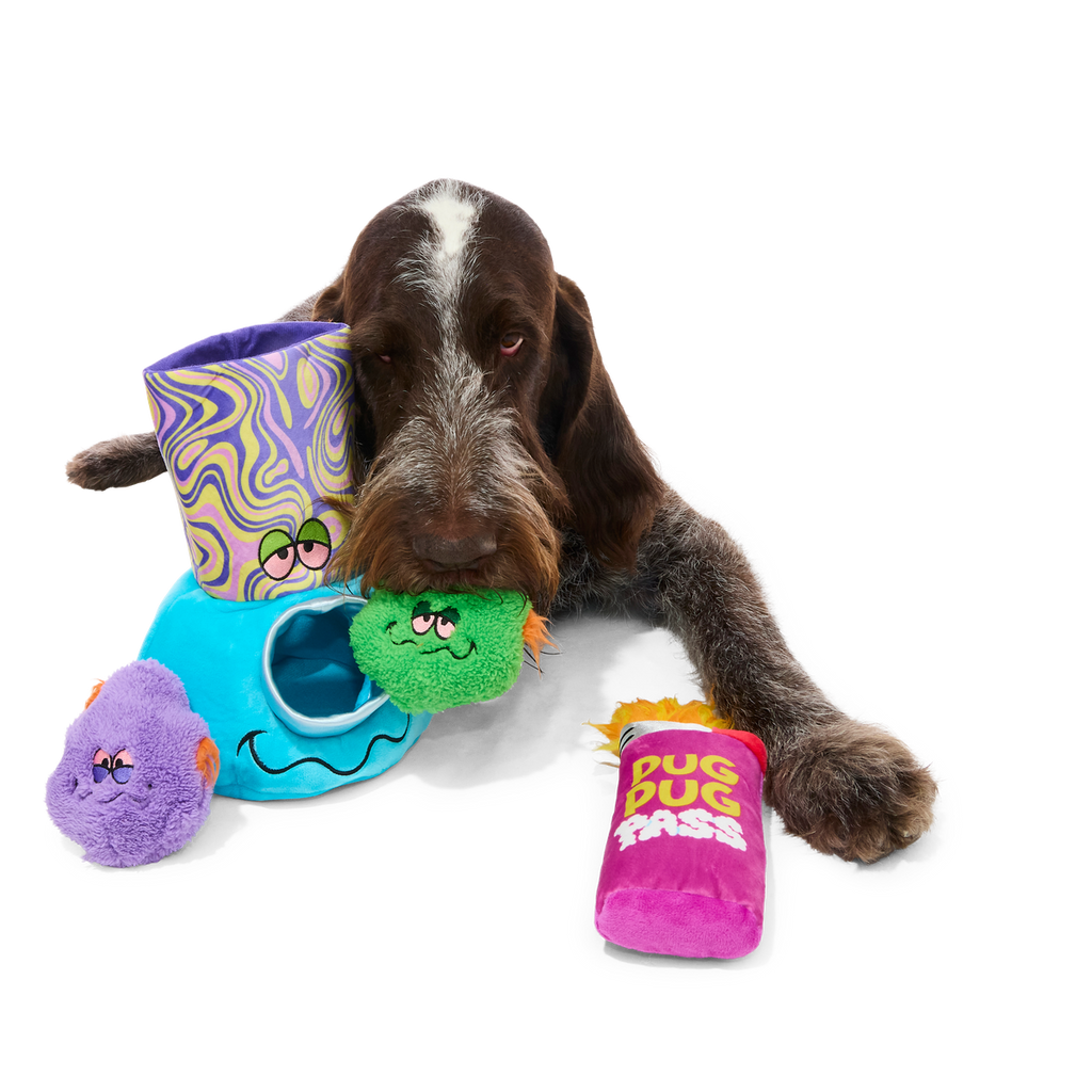Pipe Dreams Plush Extra-Large + Multi-Part + Enrichment Dog Toy