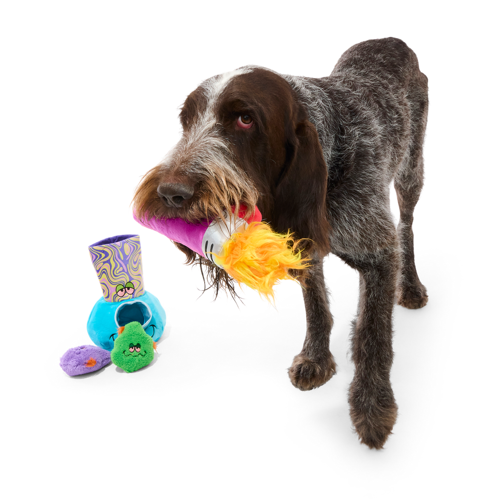 Pipe Dreams Plush Extra-Large + Multi-Part + Enrichment Dog Toy