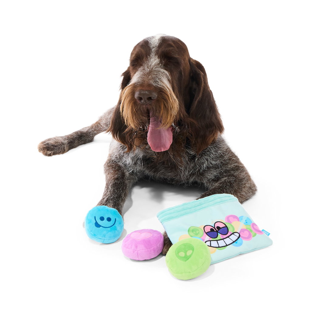 Yappy Pills Plush Multi-Part + Enrichment Dog Toy