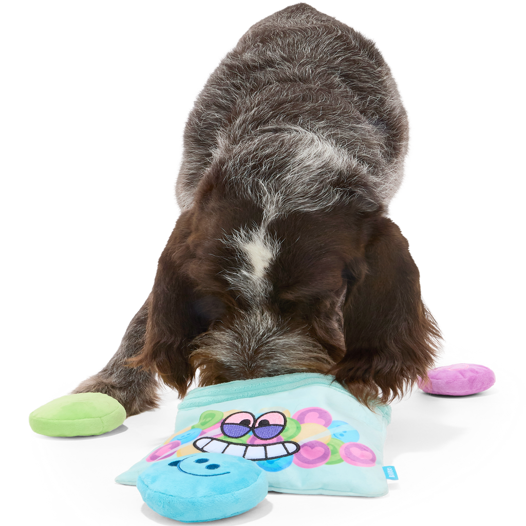 Yappy Pills Plush Multi-Part + Enrichment Dog Toy