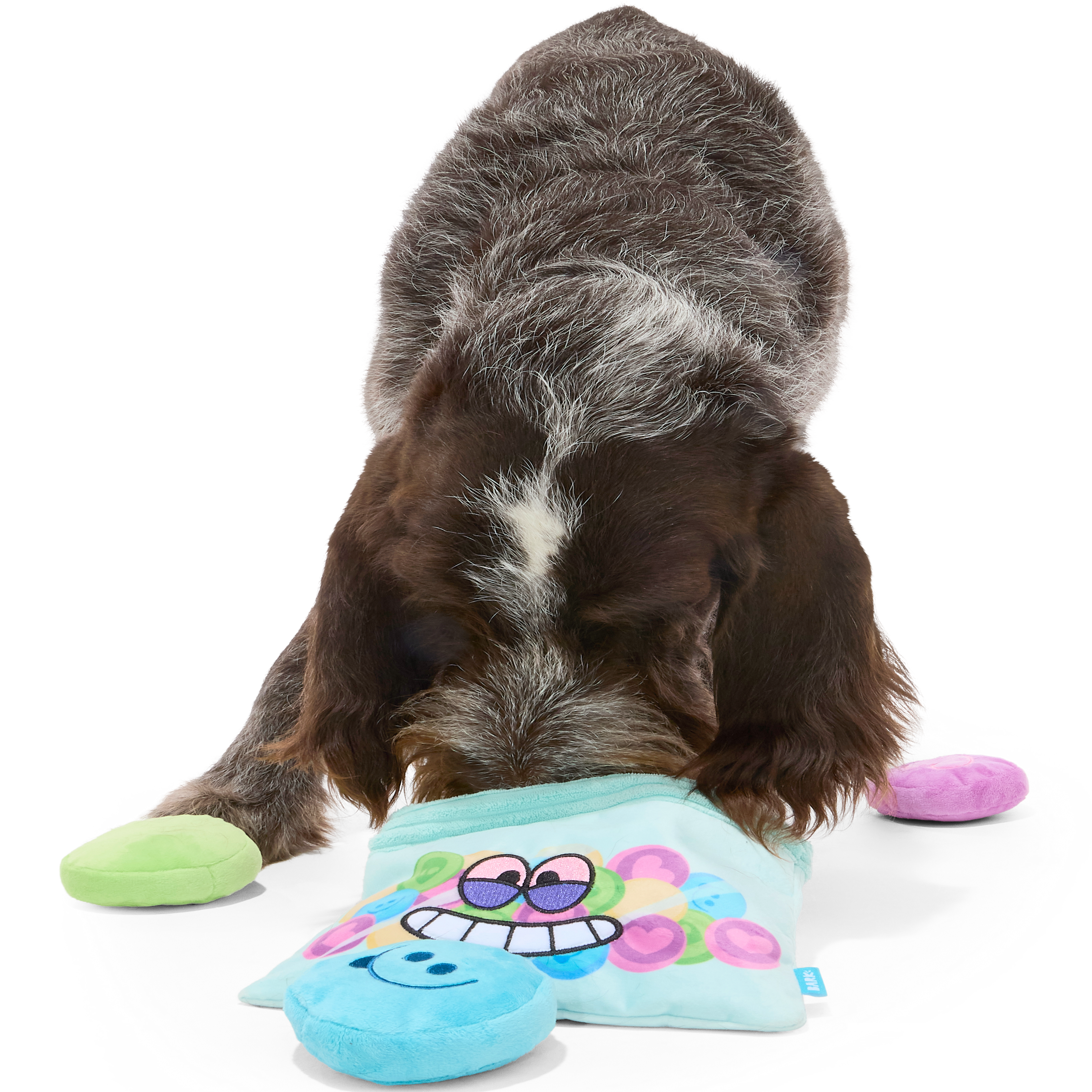 Yappy Pills Plush Multi-Part + Enrichment Dog Toy