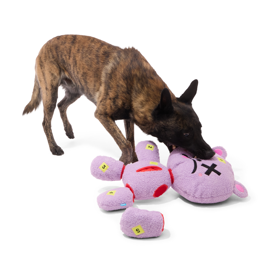 Deady Bear Plush Extra-Large Multi-Part + Enrichment Dog Toy