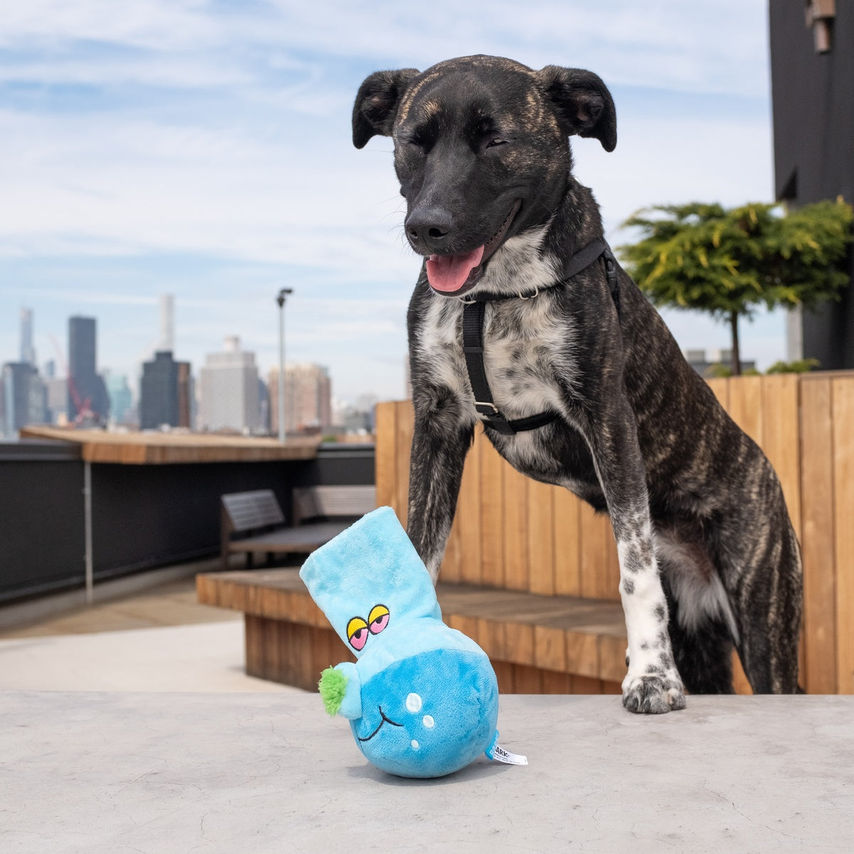 Get A Bong Lil' Doggy Plush Enrichment Dog Toy
