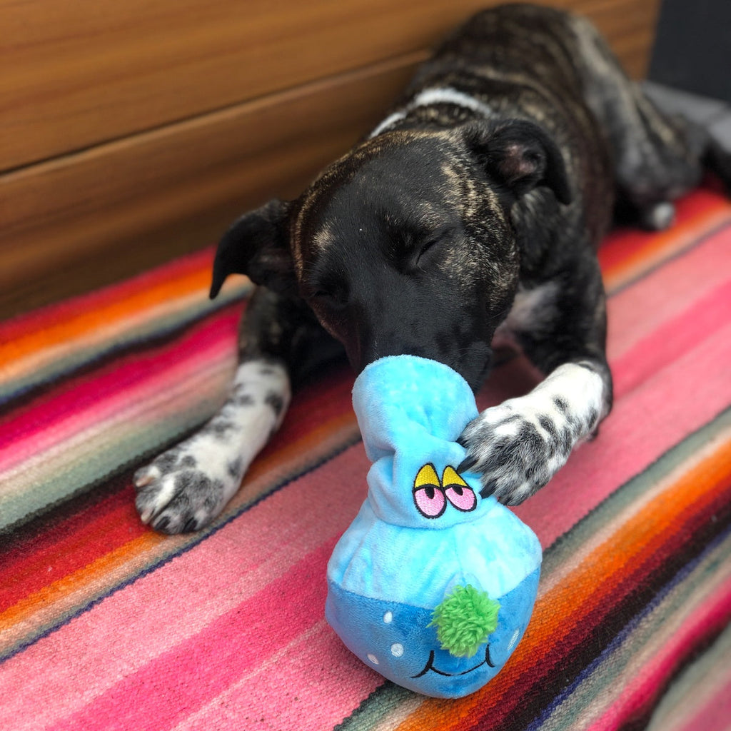 Get A Bong Lil' Doggy Plush Enrichment Dog Toy