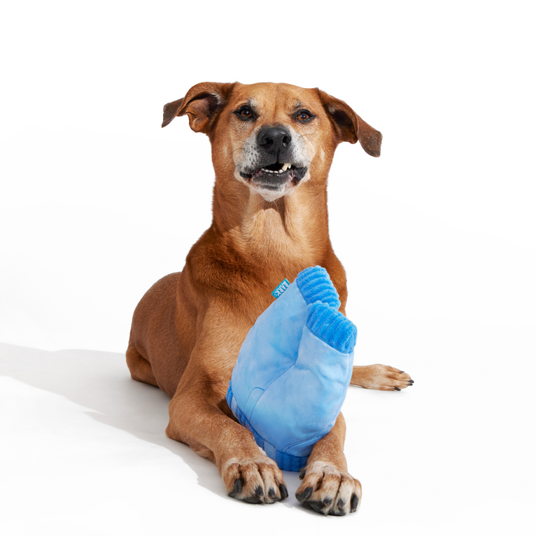 Squeaky Clean Mom Jeans Plush Tug Dog Toy