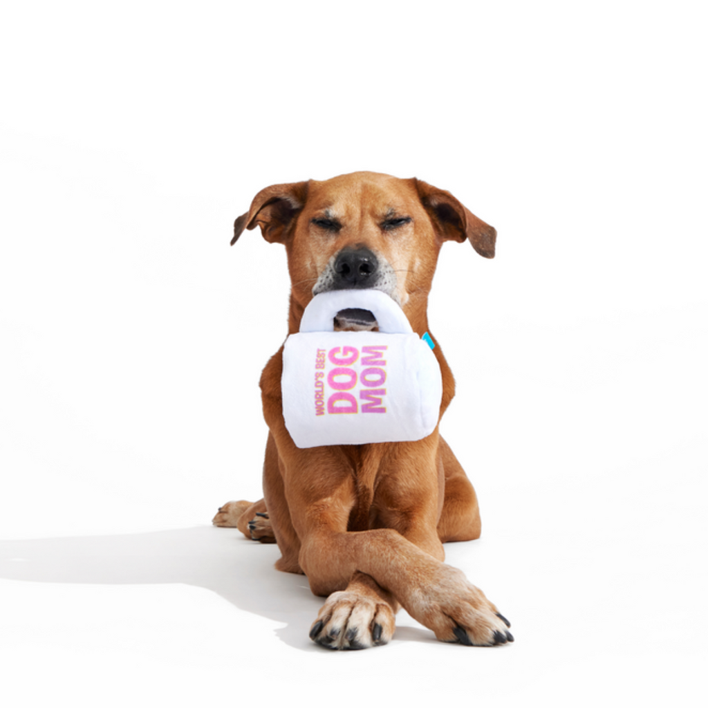 World's Best Dog Mom Mug Plush Tug Dog Toy